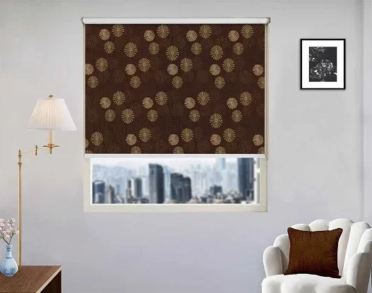 living room roller blinds